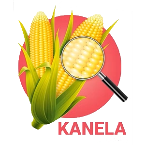 kanela logo