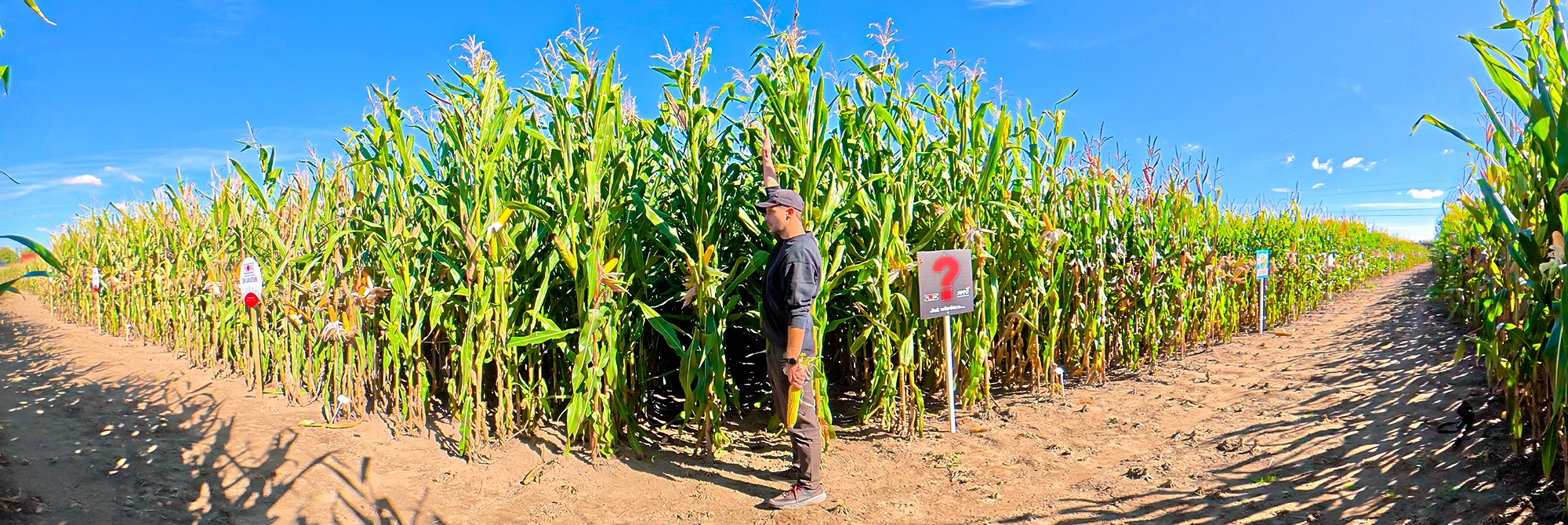 Kukurydza Wrangler banner