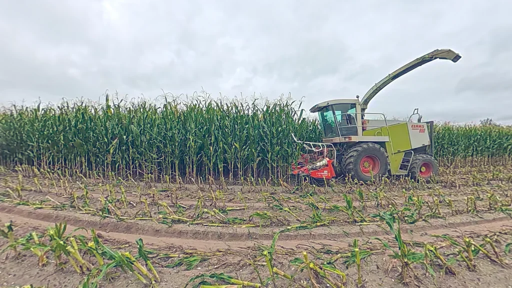 Lorinor kukurydza slider