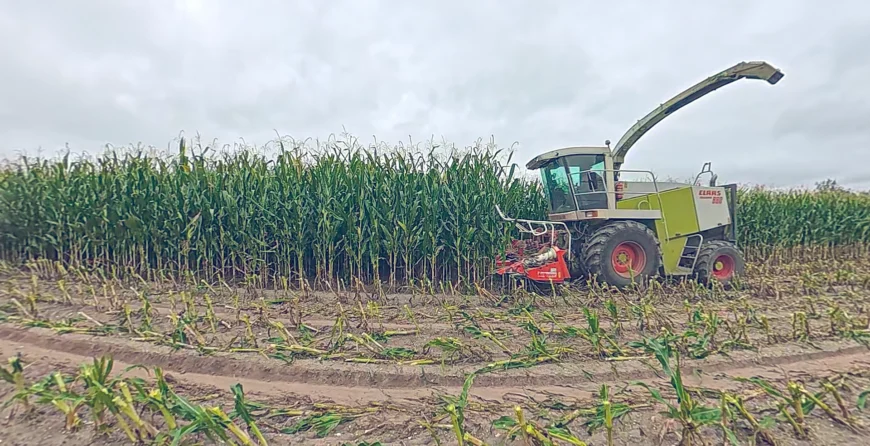 Lorinor kukurydza slider