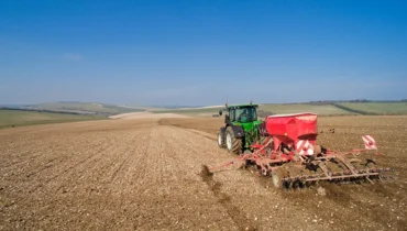 siew kukurydzy na wiosne