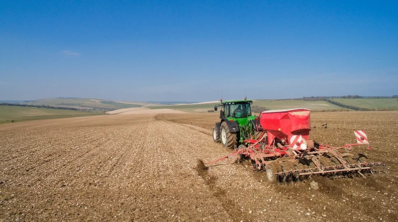 siew kukurydzy na wiosne