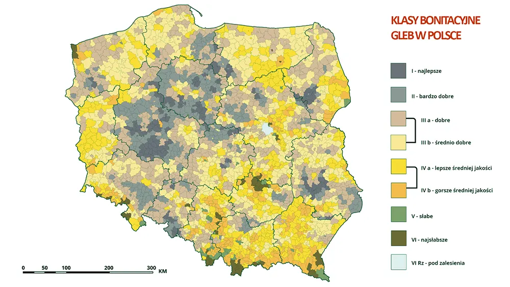 Klasy bonitacyjne gleb w Polsce