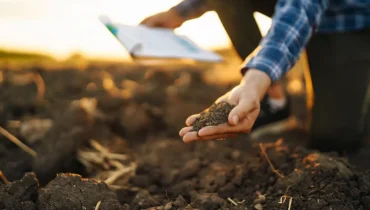 Rodzaje gleb w Polsce