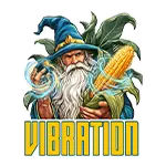 VIBRATION